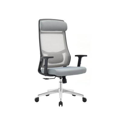 ErgoLift OS110 Ergonomische Bureaustoel - Grijs