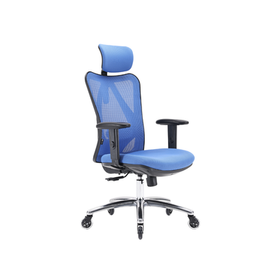ErgoPro OS1000 Ergonomische Bureaustoel - Blauw